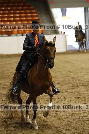 Proof 10buck_3867