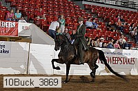 10buck_3869 proof