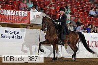 10buck_3871 proof