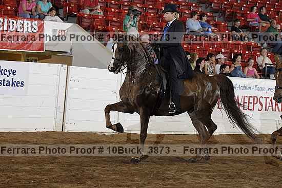 Proof 10buck_3873