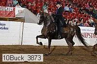 10buck_3873 proof
