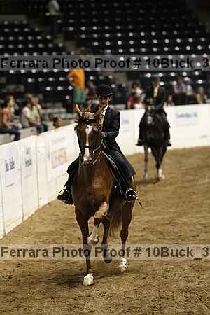 Proof 10buck_3875
