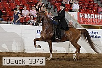 10buck_3876 proof