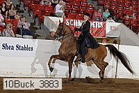 10buck_3883 proof