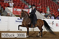 10buck_3886 proof