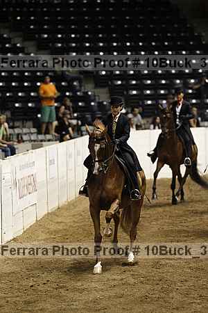Proof 10buck_3887
