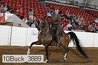 10buck_3889 proof