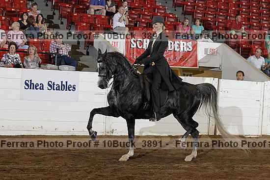 Proof 10buck_3891