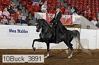 10buck_3891 proof