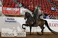 10buck_3893 proof