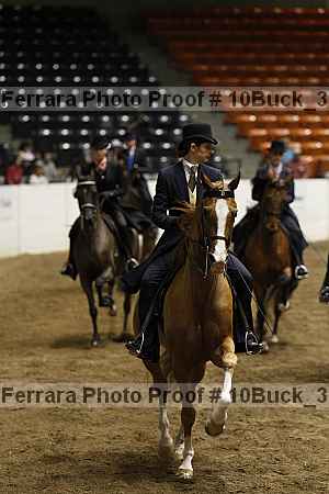 Proof 10buck_3895
