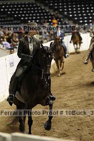 Proof 10buck_3902