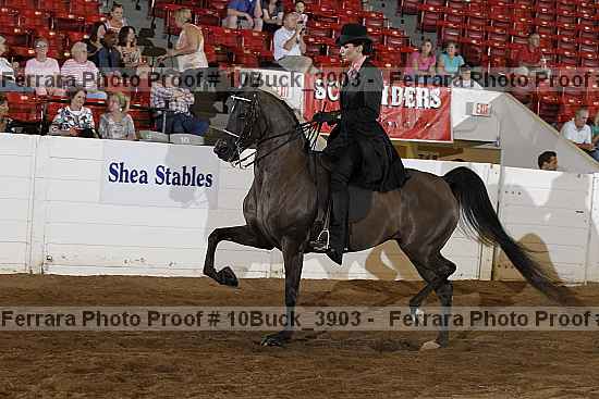 Proof 10buck_3903