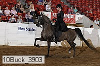 10buck_3903 proof