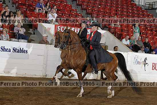 Proof 10buck_3905