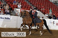 10buck_3905 proof