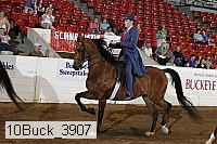 10buck_3907 proof