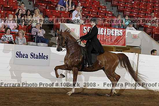 Proof 10buck_3908