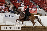 10buck_3908 proof