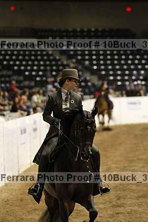 Proof 10buck_3910