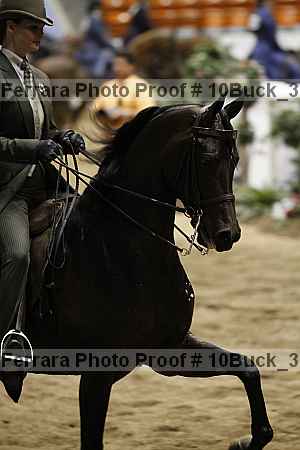 Proof 10buck_3917