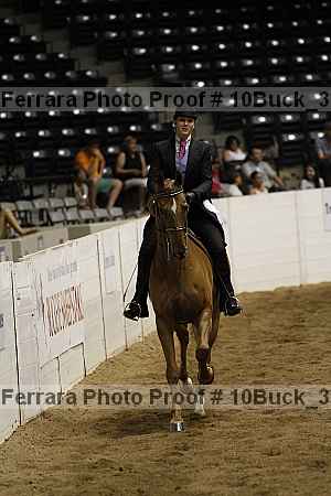 Proof 10buck_3920