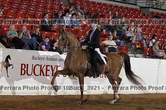 Proof 10buck_3921