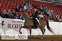 10buck_3921 proof