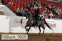 10buck_3925 proof