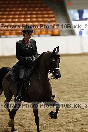 Proof 10buck_3926