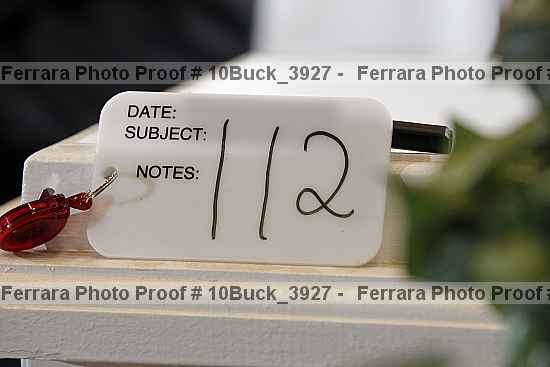 Proof 10buck_3927