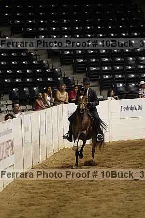 Proof 10buck_3928