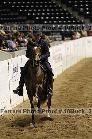 Proof 10buck_3930
