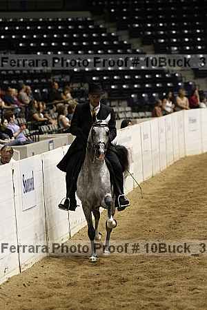Proof 10buck_3931