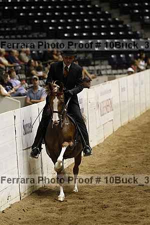Proof 10buck_3932