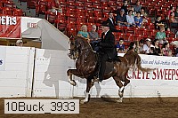 10buck_3933 proof