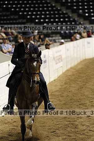 Proof 10buck_3936