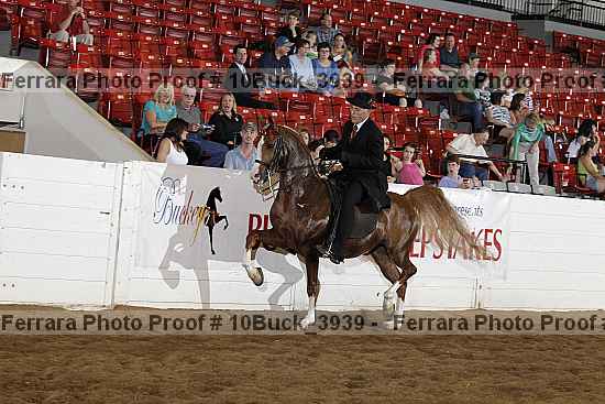 Proof 10buck_3939