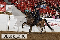 10buck_3940 proof