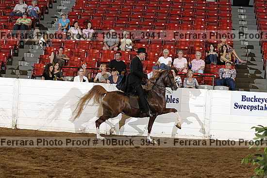 Proof 10buck_3941