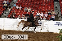 10buck_3941 proof