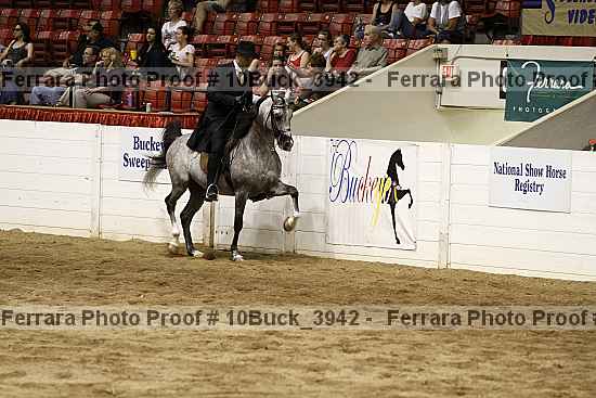 Proof 10buck_3942