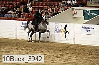 10buck_3942 proof