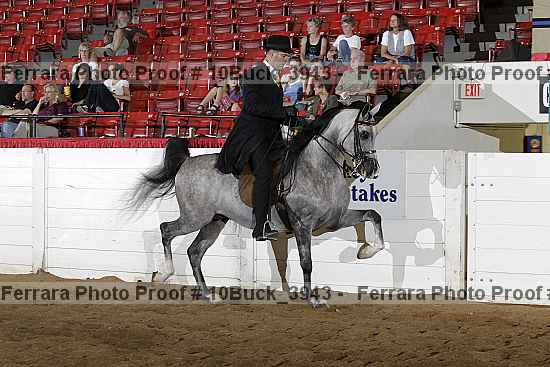 Proof 10buck_3943