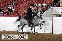 10buck_3943 proof