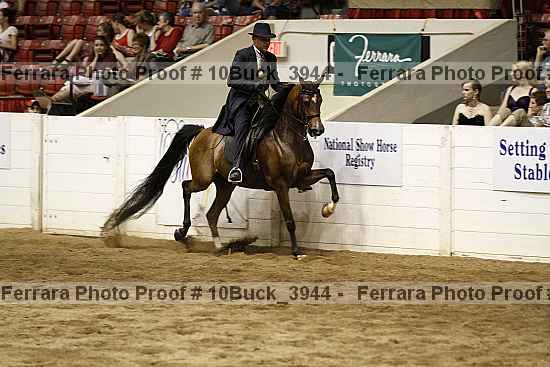 Proof 10buck_3944