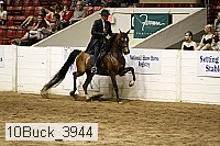 10buck_3944 proof