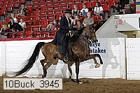 10buck_3945 proof
