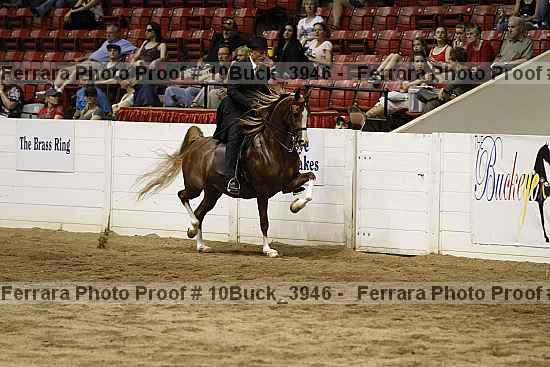 Proof 10buck_3946