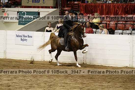 Proof 10buck_3947